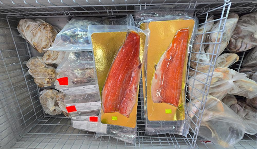 РЫБОМАНИЯ ЖИВАЯ РЫБА