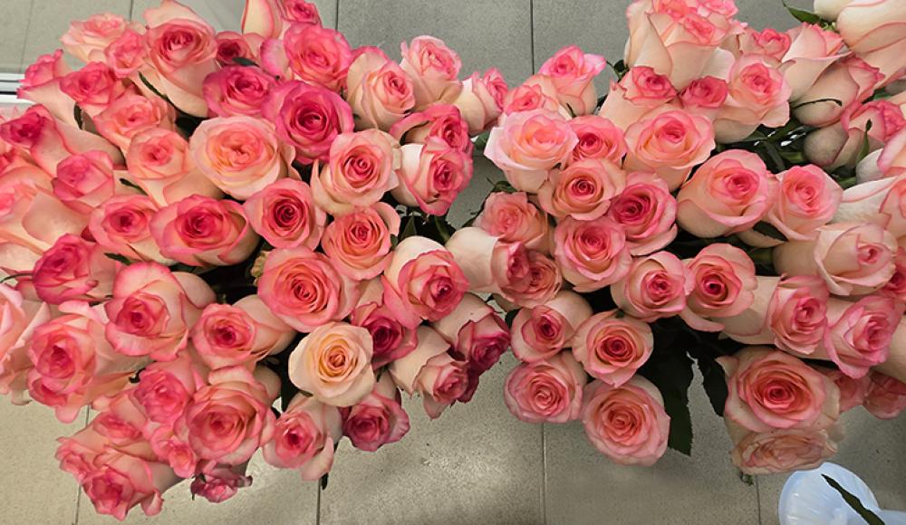 ЦВЕТОЧНЫЙ СКЛАД