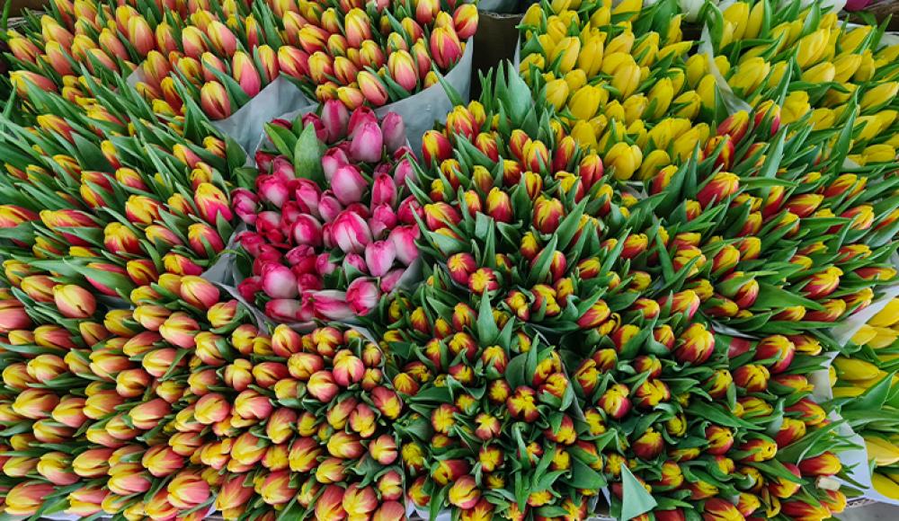 ЦВЕТОЧНЫЙ СКЛАД