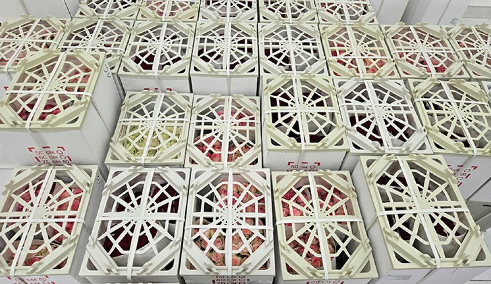 ЦВЕТЫ ЛИЛИ оптом и в розницу