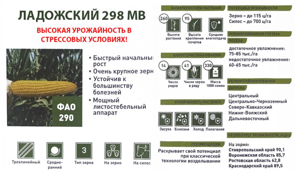 СЕМЕНА КУКУРУЗЫ и средства защиты растений