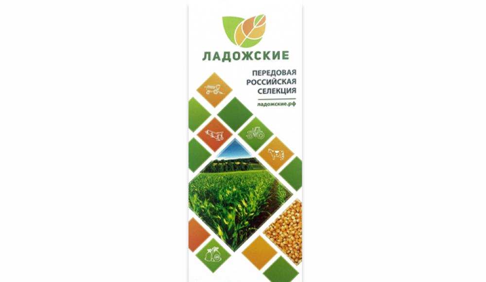 СЕМЕНА КУКУРУЗЫ и средства защиты растений