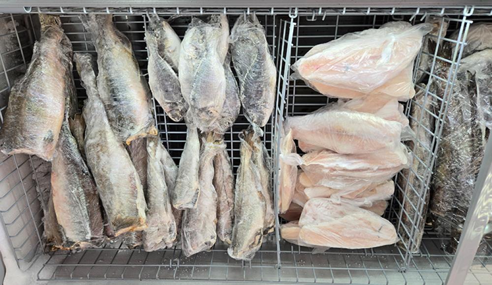 РЫБОМАНИЯ ЖИВАЯ РЫБА