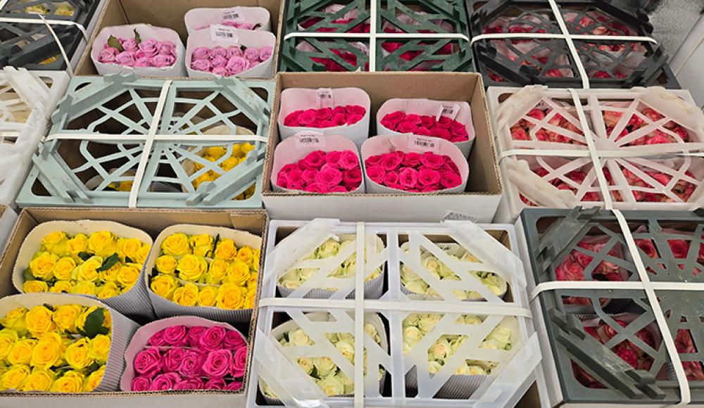 ЦВЕТОЧНЫЙ СКЛАД