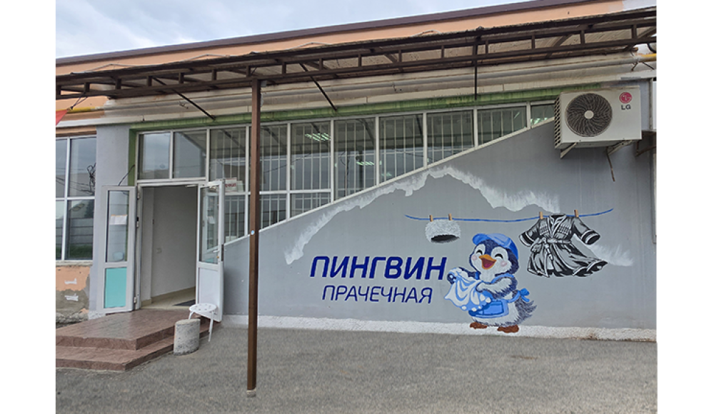 ПРАЧЕЧНАЯ ПИНГВИН