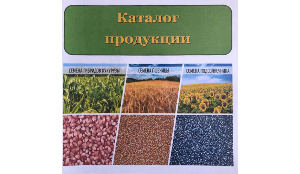 СЕМЕНА КУКУРУЗЫ и средства защиты растений