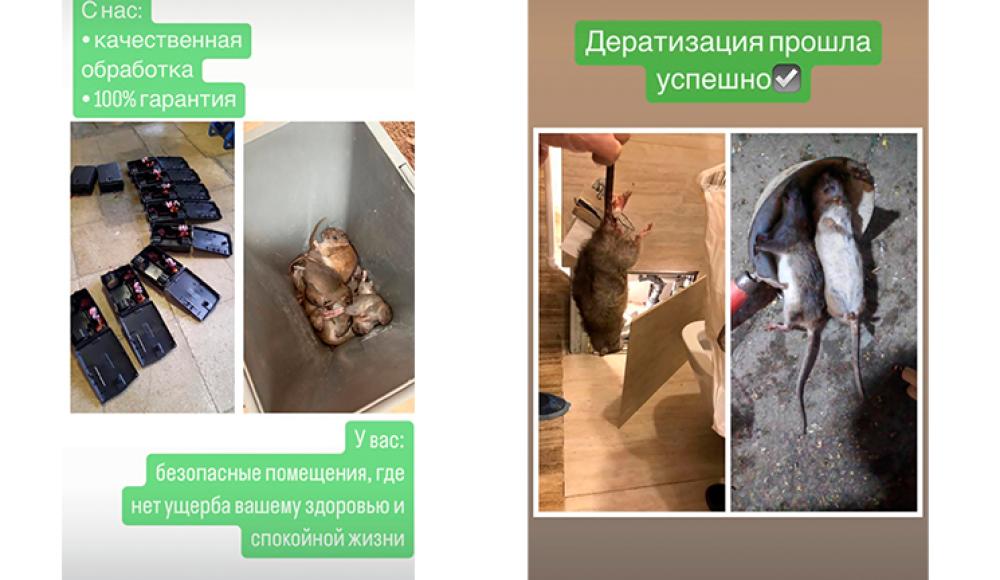 ДЕЗИНФЕКЦИЯ, ДЕРАТИЗАЦИЯ, ДЕЗИНСЕКЦИЯ, АКАРИЦИДНАЯ ОБРАБОТКА
