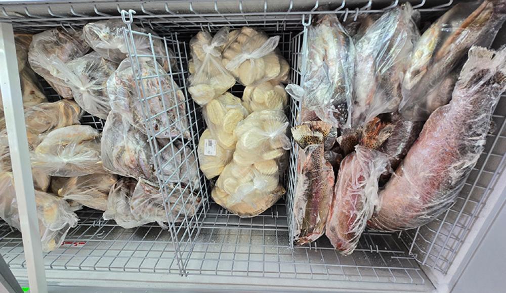 РЫБОМАНИЯ ЖИВАЯ РЫБА