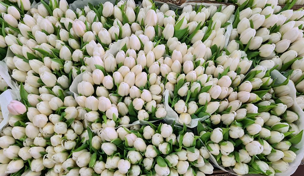 ЦВЕТОЧНЫЙ СКЛАД