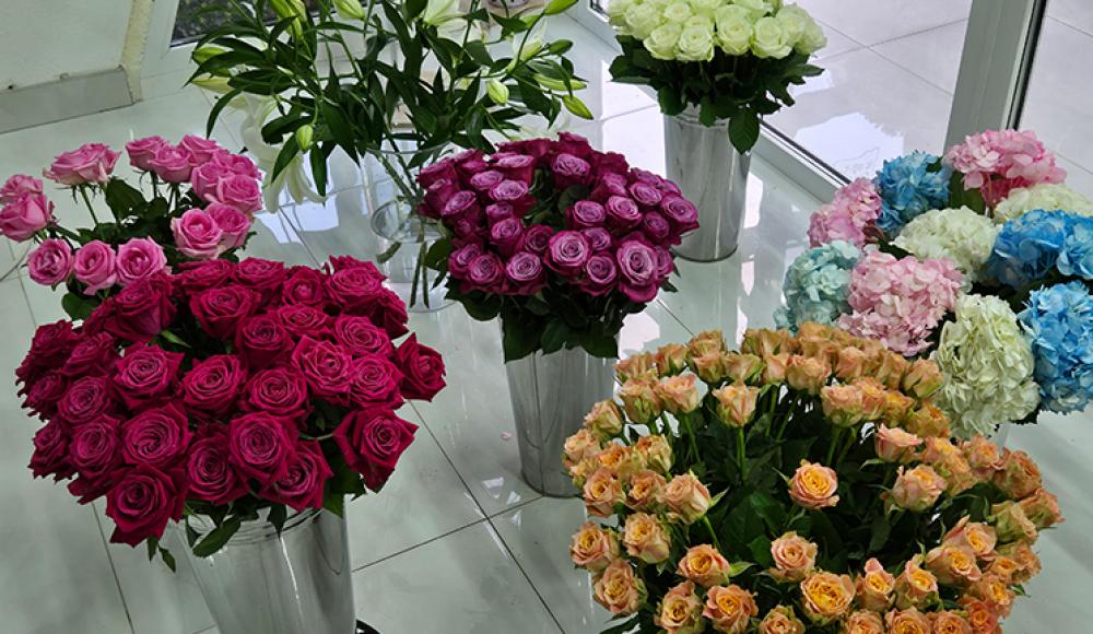 ЦВЕТЫ ЛИЛИ оптом и в розницу