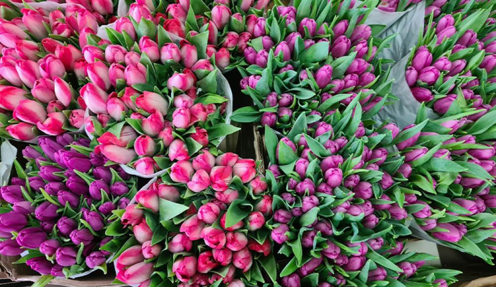 ЦВЕТОЧНЫЙ СКЛАД