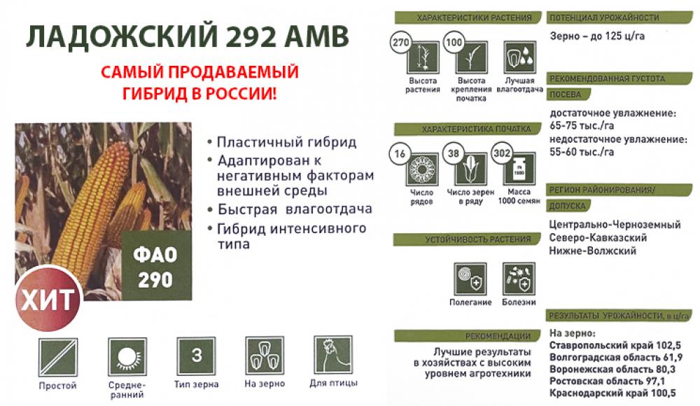 СЕМЕНА КУКУРУЗЫ и средства защиты растений